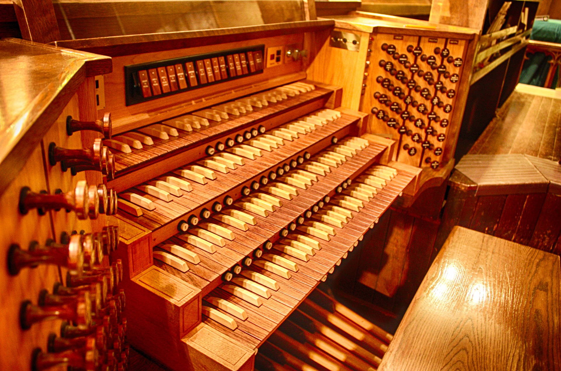 organ