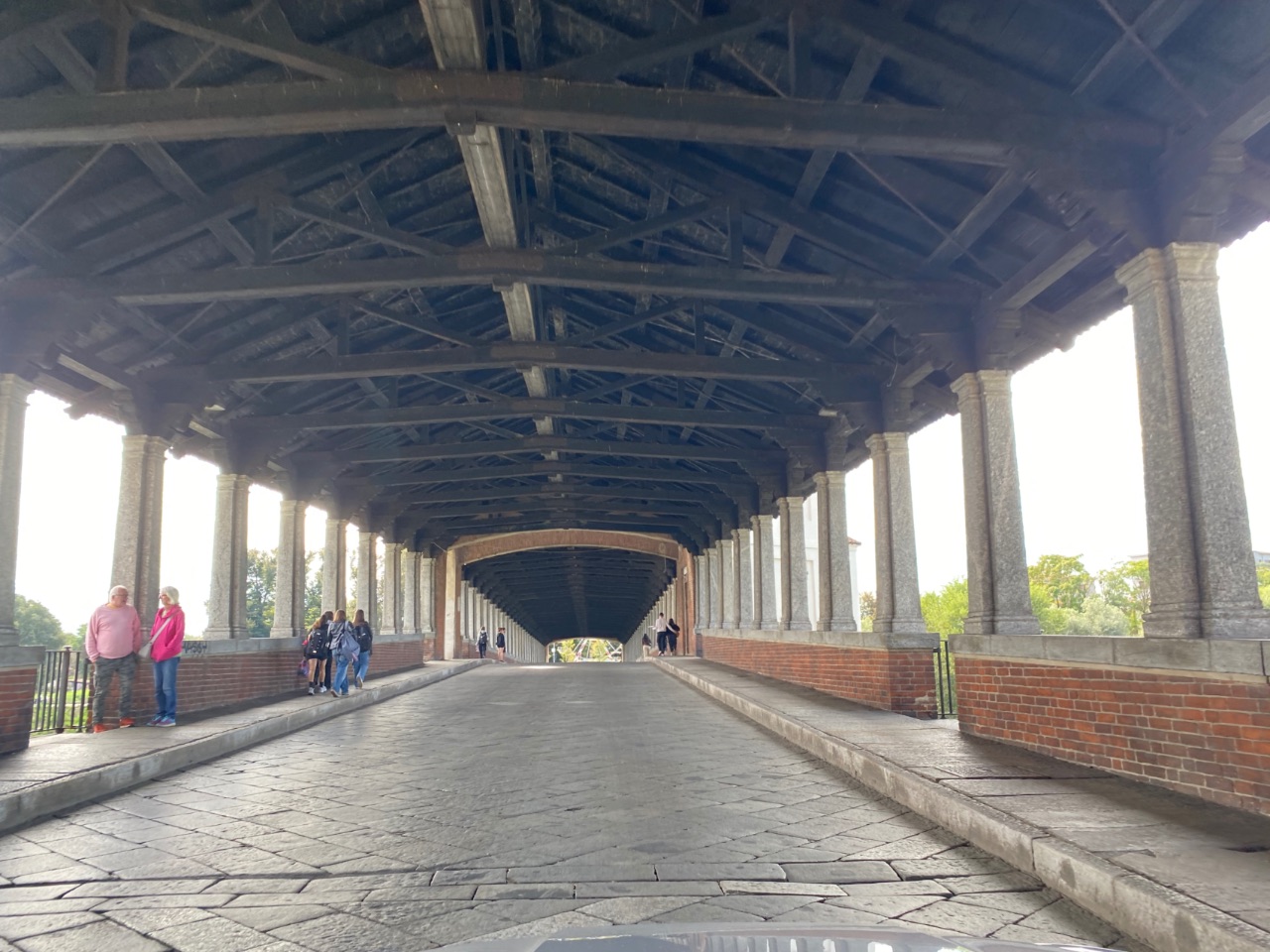 Pavia