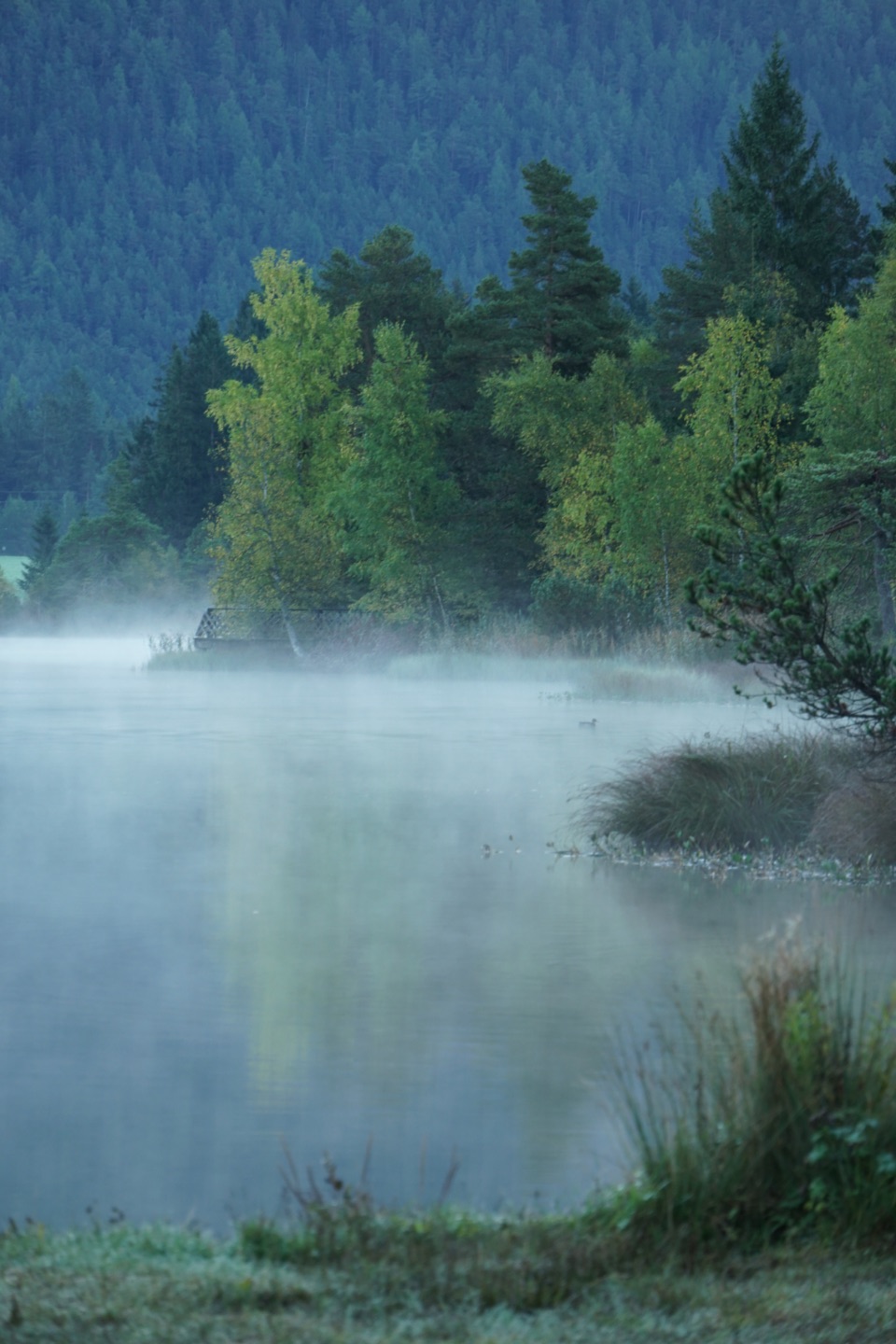 Seefeld in Tirol